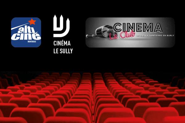 cinéma le sully