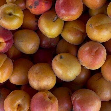 marché de Sully sur Loire (2). Crédit photo : JB