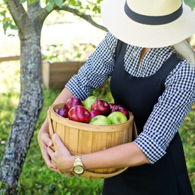 fête de la pomme. LDD. Crédit photo : PIXABAY