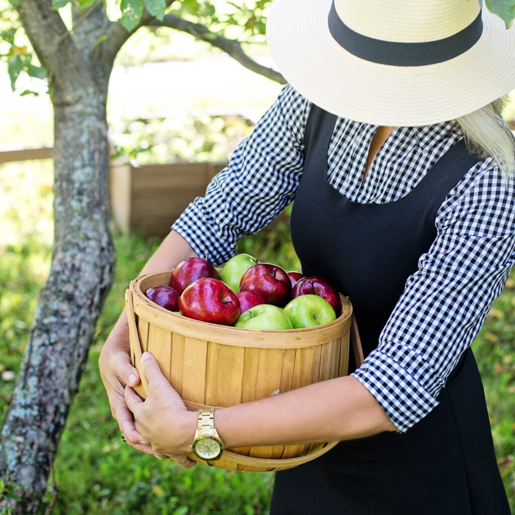 fête de la pomme. LDD. Crédit photo : PIXABAY