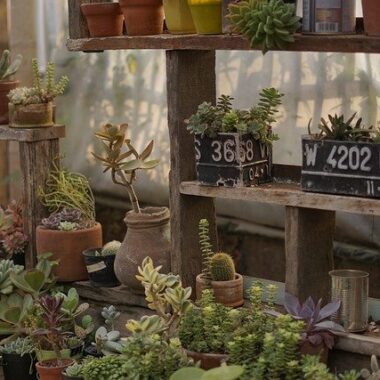 nature-g48f298163_640. Crédit photo : PIXABAY