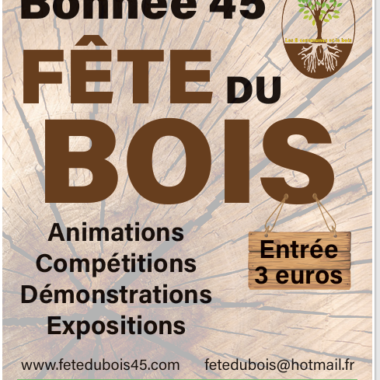 téléchargement. Crédit photo : asssociation la fête du bois du val de sully
