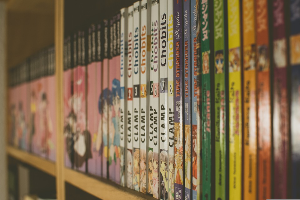 shelf-3327187_960_720. Crédit photo : PIXABAY