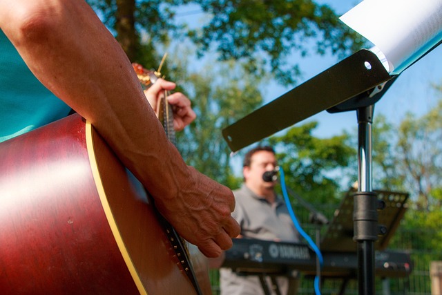 music-g78dac229f_640. Crédit photo : PIXABAY