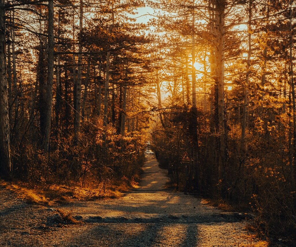 path-7387018_1280. Crédit photo : PIXABAY
