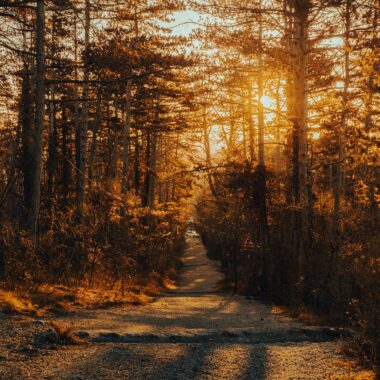 path-7387018_1280. Crédit photo : PIXABAY