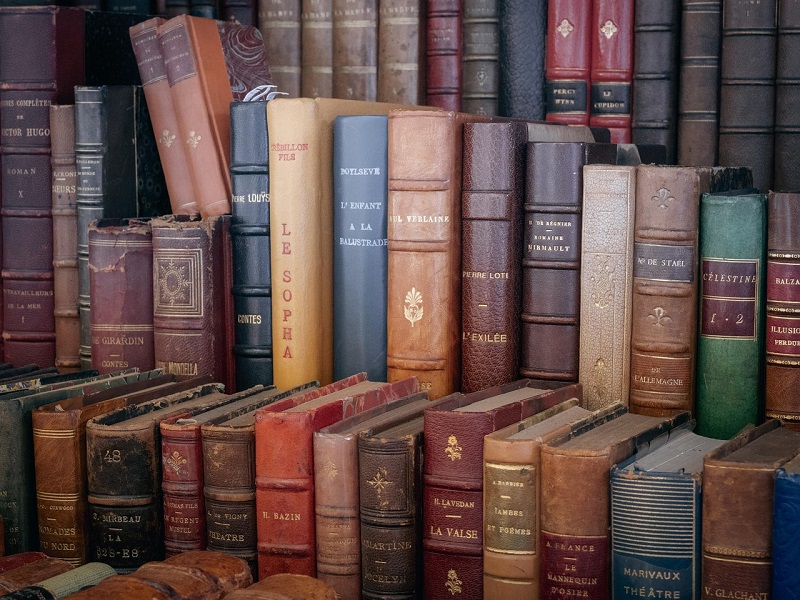 Bourse aux livres _analogicus. Crédit photo : analogicus