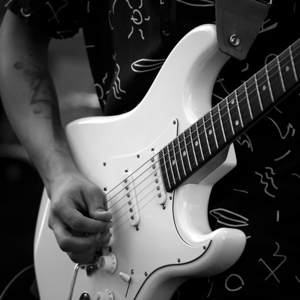 Frelots. Crédit photo : Pexels