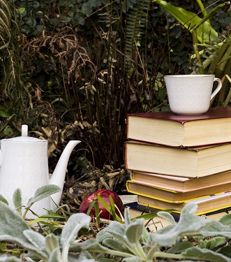 lecture. Crédit photo : Pixabay