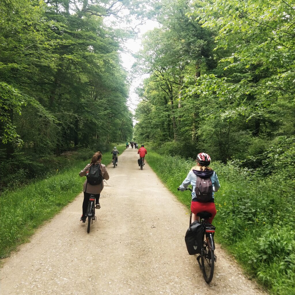 velo7. Crédit photo : CMULQUIN