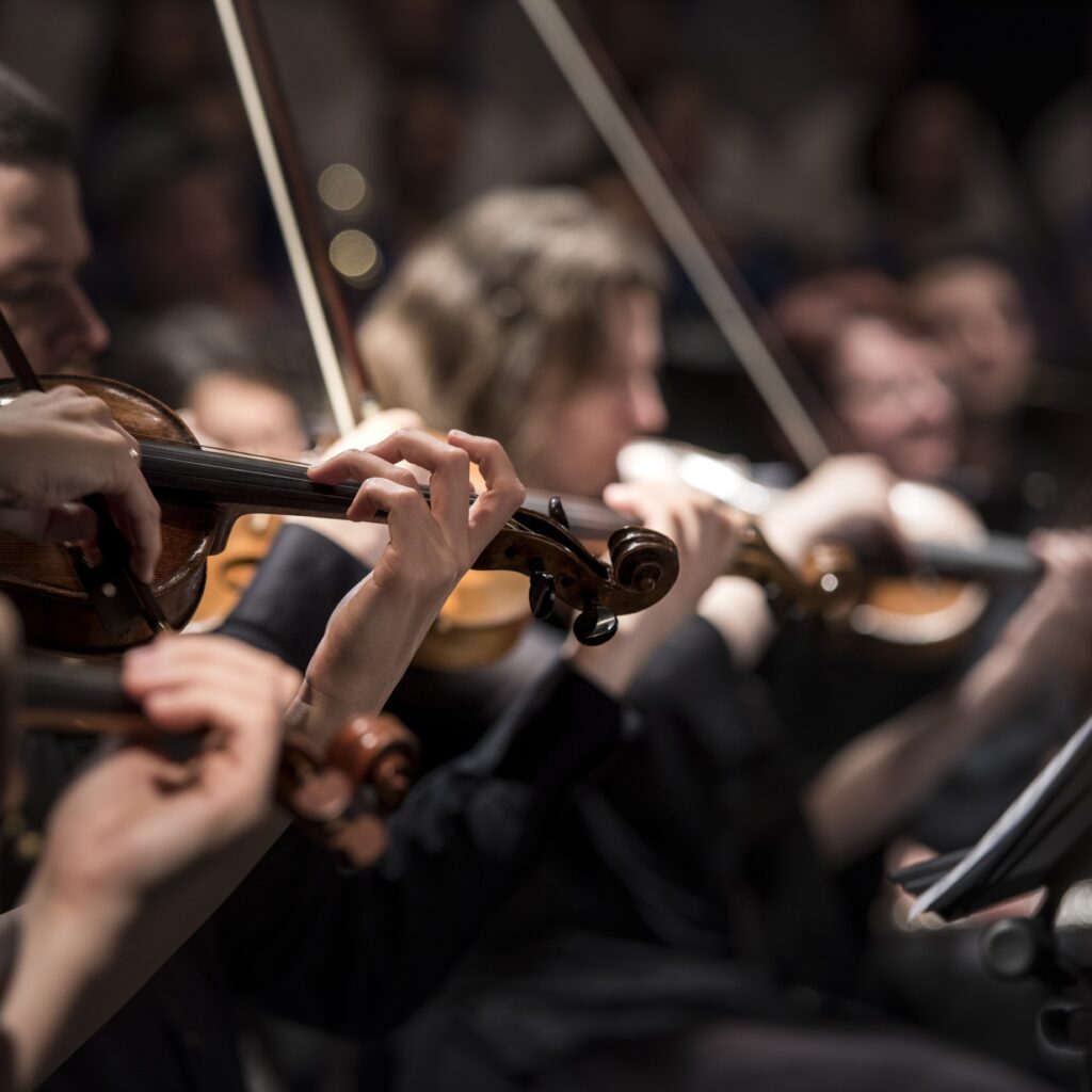 Concert. Crédit photo : PIXABAY