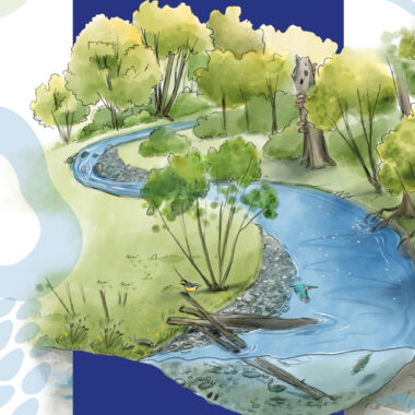 Livret bonne pratique - à l’usage des propriétaires riverains des cours d’eau