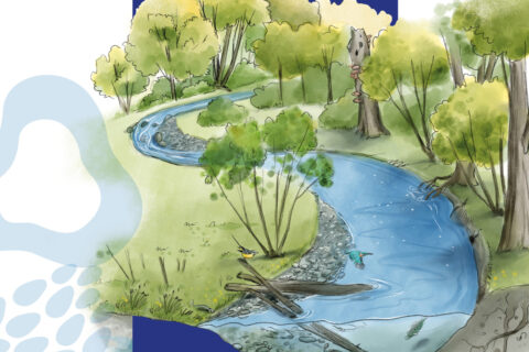 Livret bonne pratique - à l’usage des propriétaires riverains des cours d’eau