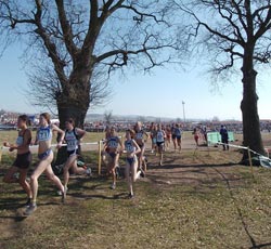 cross.02. Crédit photo : CDA45