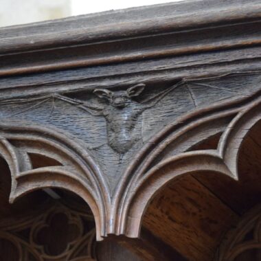 38-Chauve qui peut_pas de copyright. Crédit photo : NC
