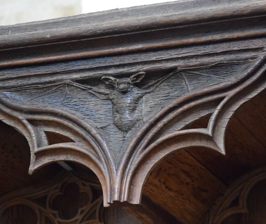 38-Chauve qui peut_pas de copyright. Crédit photo : NC