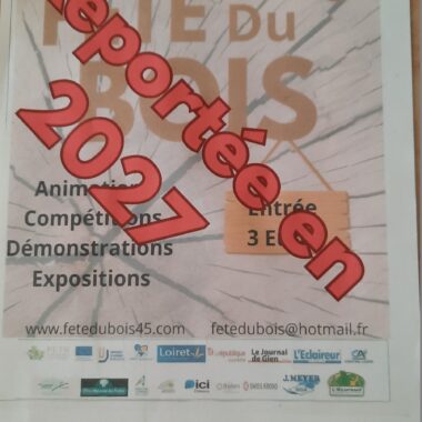 3c9c5855-8314-495c-b95e-9ff3ad6e910a. Crédit photo : fête du bois