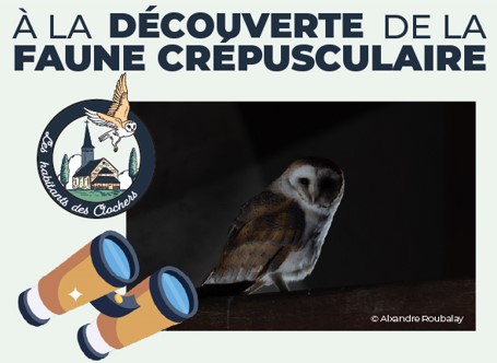 nocturne 23 juin. Crédit photo : Sologne Nature