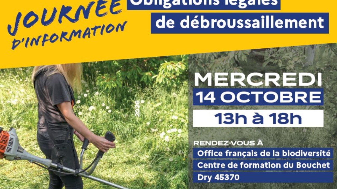 8e69d533450e111d1c52e54f29ae72fb_journee-di