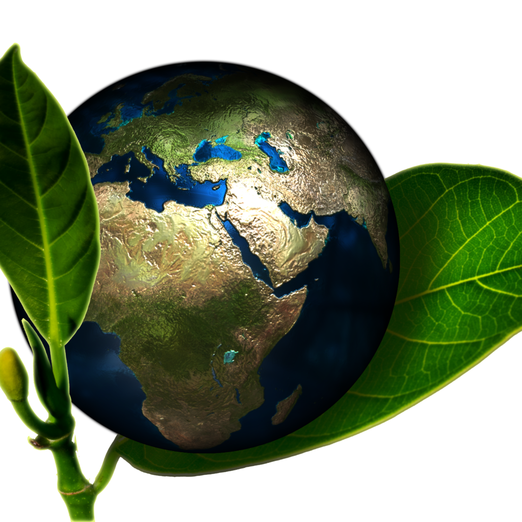Environnement. Crédit photo : PIXABAY