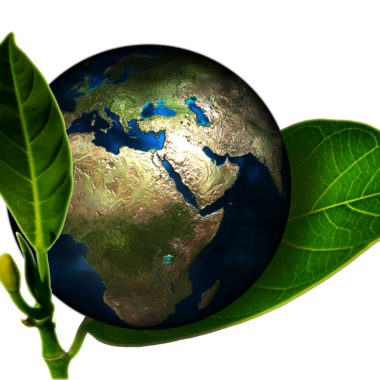 Environnement. Crédit photo : PIXABAY