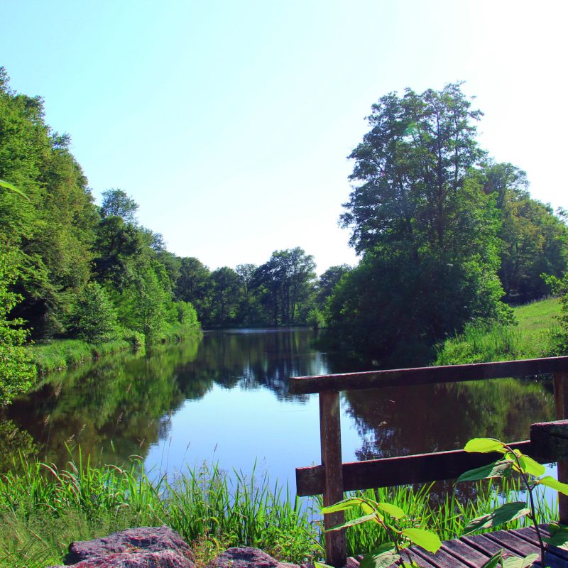 bordes_etang_communal