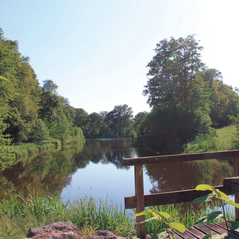 bordes_etang_communal