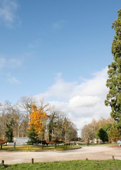 carrefour-resistance